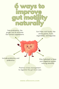 Infographic on gut motility